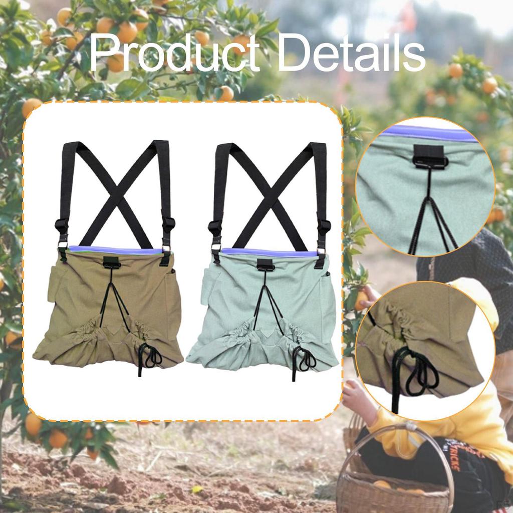 Canvas Bag for Fruit Collection, Foraging Holder Garden Use