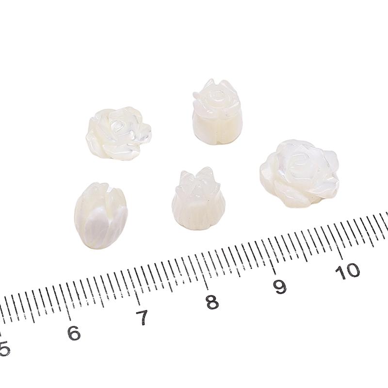 Natural Horseshoe Shell Beads For DIY Necklace Bracelet Earrings Jewelry Making