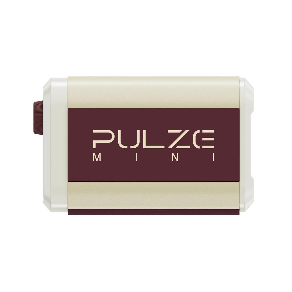 HOTONE Pulze Mini Compact Modeling Amplifier Mini Amplifier Hot Tone