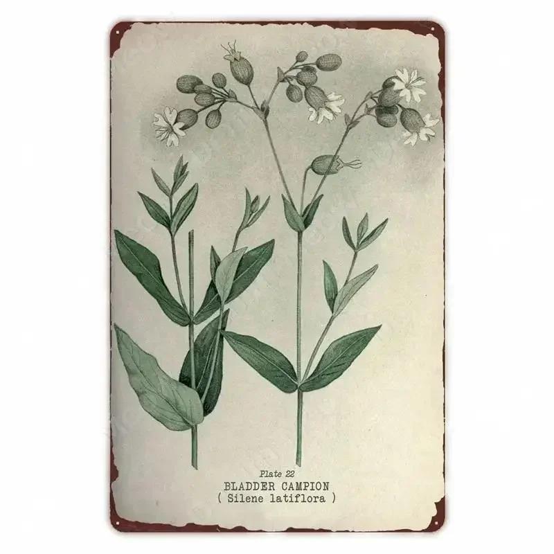 Retro Vegetable Plants Poster Vintage Fruits Metal Tin Sign Cauliflower Wall Art Sign Garden Kitchen Farm Flowers Plate Decor