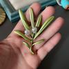 Frauen Vintage Blume Perle Broschen Pins Palace Emaille Pflanze Brosche Pin Corsage Dame Hochzeit Party Elegante Abzeichen Schmuck