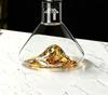 Waterfall Quick Red Wine Decanter - European Glass Wine Pot with Creative Mountain Design & Filter