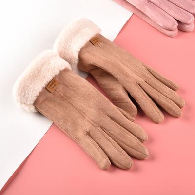Handschuhe Damen Winterwärme Koreanische Version Samtverdickt Fünffinger Wildleder Touchscreen Reiten Winter Autofahren Herren