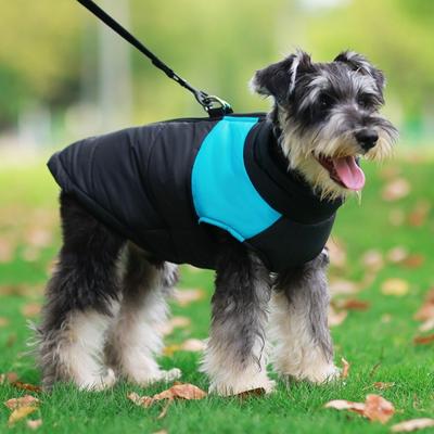Abbigliamento e scarpe – Cappotti e giacche per cani
