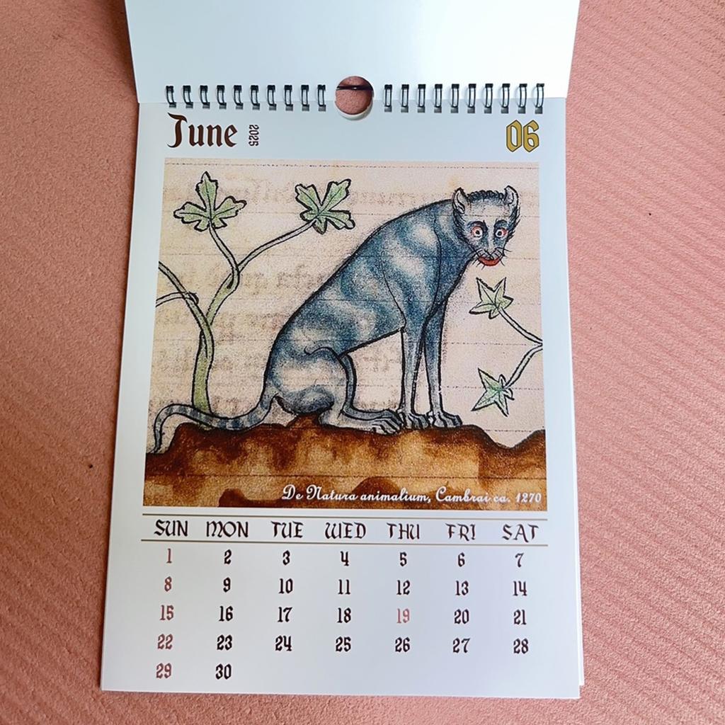 Tischkalender 2025, 12 Monats-Wandkalender, verschiedene Muster, einfach aufzuhängen