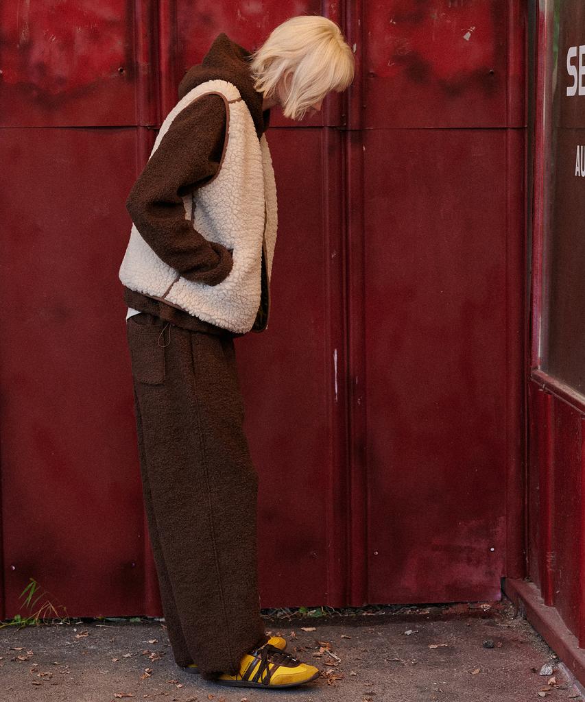 Teddy Wool Hoodie (Brown)