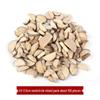 Wood Chips & Tree Slices DIY Craft Kit for Kids