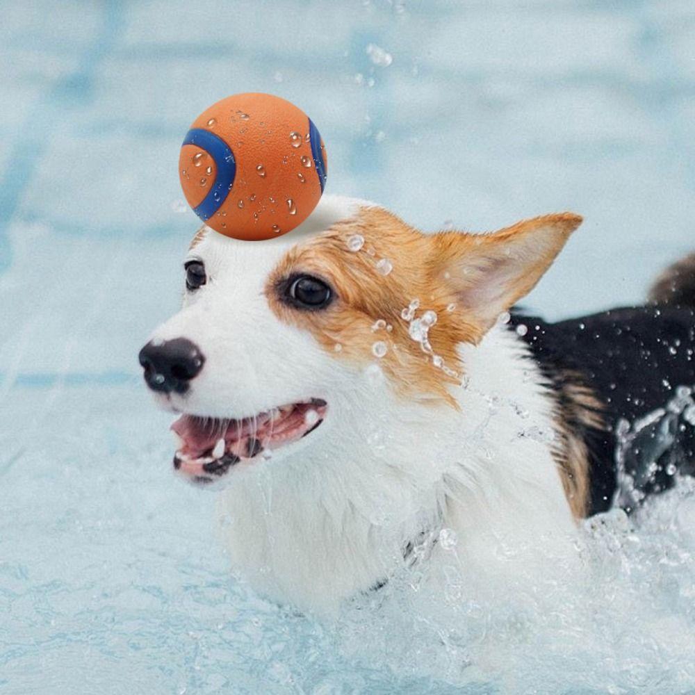 

Rubber Dog Toy Rubber Ball Elastic Dog Training Ball Funny Pet Chew Ball Relieve Boredom