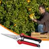 Garden Hand Pruning Shears Stainless Steel Non-slip Handle Potted Branches Scissors Garden Scissor for Flowers Harvesting Fruits