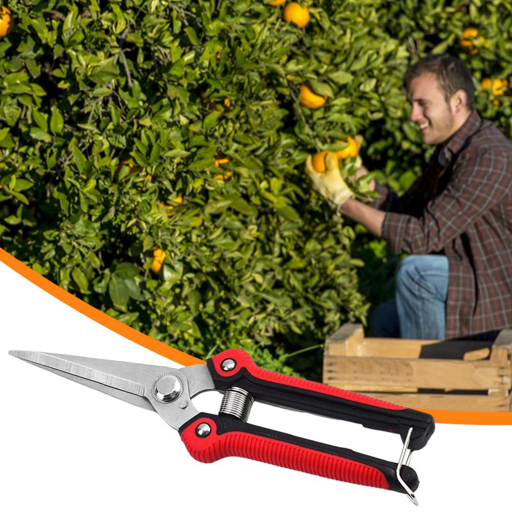 Garden Hand Pruning Shears Stainless Steel Non-slip Handle Potted Branches Scissors Garden Scissor for Flowers Harvesting Fruits