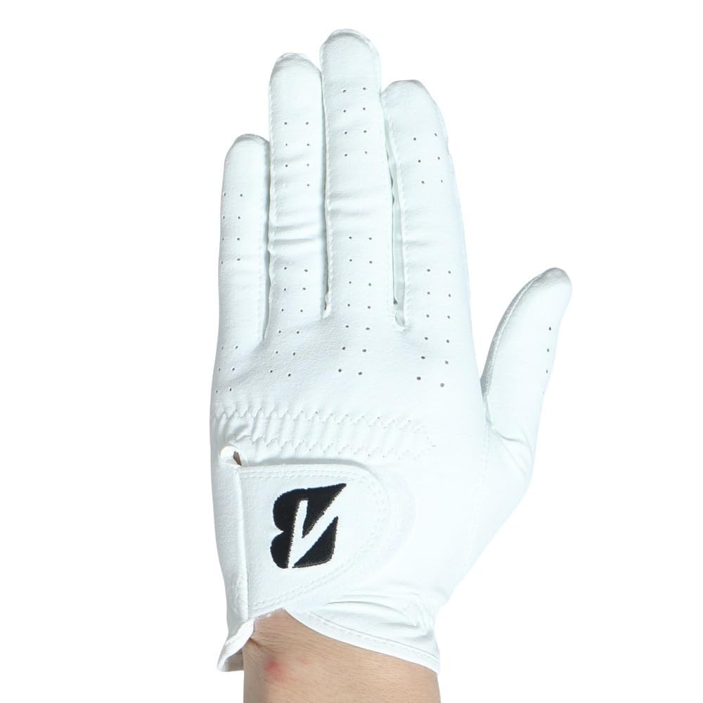 BRIDGESTONE TOUR NANO GLG19 Golf Size 26cm Gloves, Men's, White,