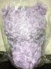 [USED] Bear Plush Toy July Ruby Teddy Bear Aries Leo Scorpio Rose Boa