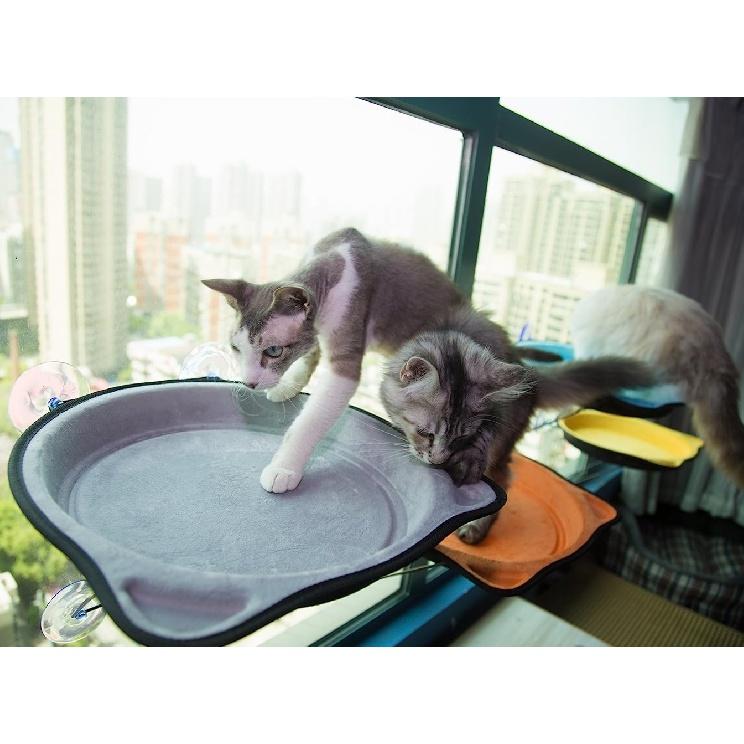 Amaca per letto per gatti con finestra, posatoio per gatti montato su finestra, seduta soleggiata per piccoli gatti da interni con aspirazione