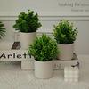 European Fresh Simulation Green Plant Potted Ornament for Home Decor