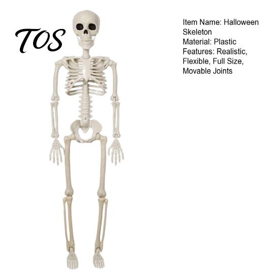 Standing Skeleton for Horror Atmosphere Halloween Decoration, 3Ft Life Size Full Body Human Bone, Realistic Posable Simulation Bone Structure