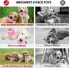 8 Pack Puppy Teething Chew Toys Set Squeaky Rubber Rope Interactive Toy for Small Medium Dogs