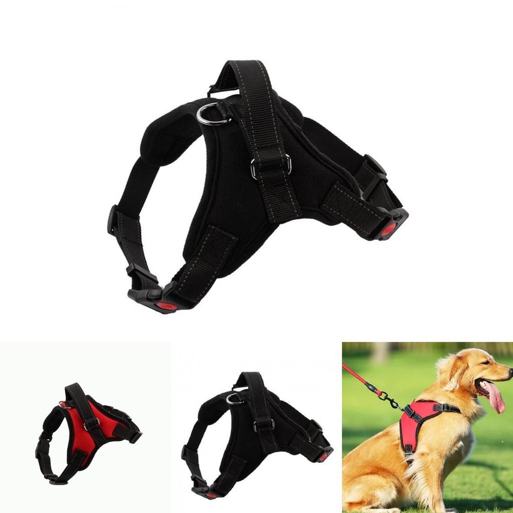 Small And Medium-sized Dog Harness Easy To Put On And Take Off With Adjustable Straps