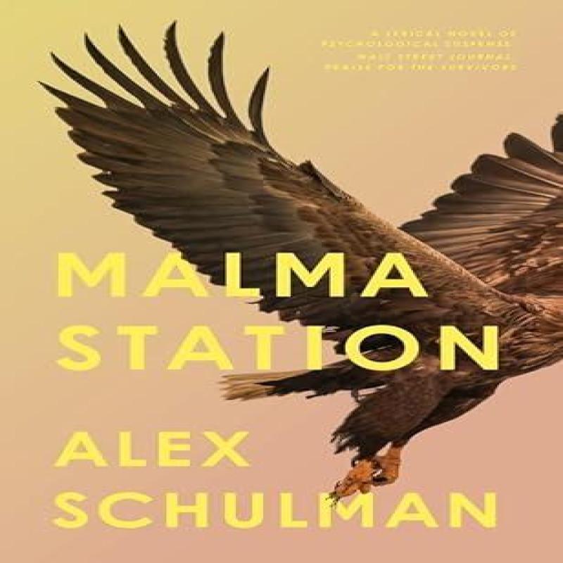 Malma Station by Alex Schulman Hardback Book 9780349728018