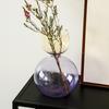 Nordic Modern Simple High Sensitivity Colorful Glass Tabletop Vase Elegant Flowers Water Cultivation Vases for Home Living Room