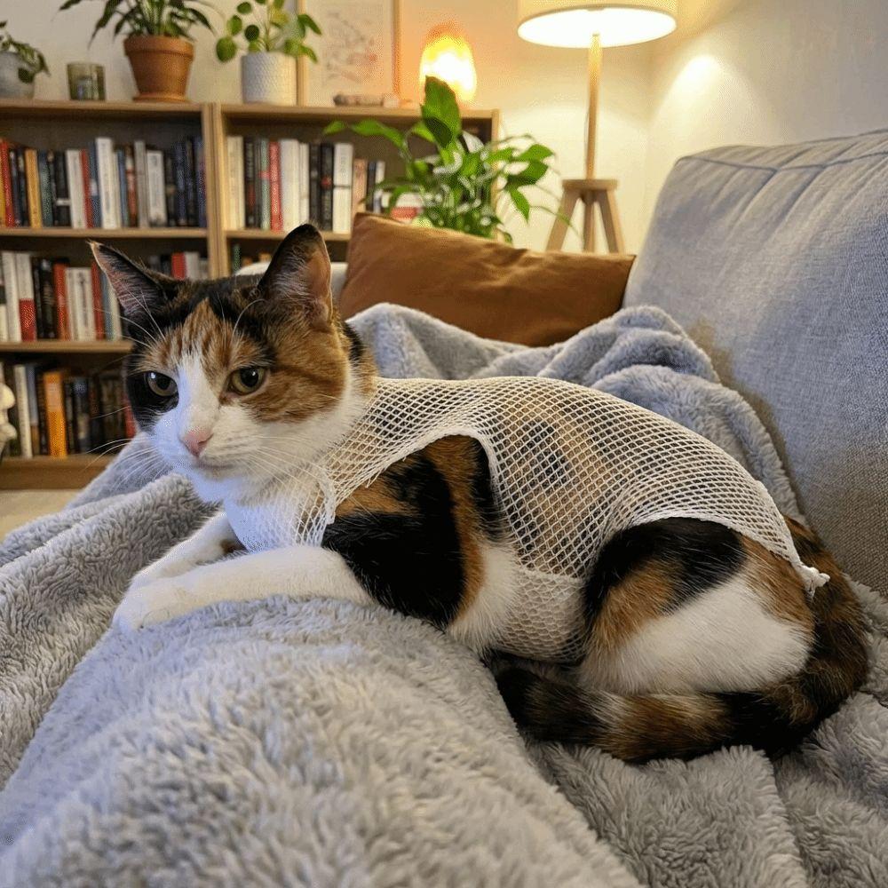 Copertura protettiva traspirante per animali domestici Manicotto a rete elastica per ginocchio e zampa Recupero ferite