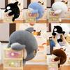 Plush Seal Toy Soft Short Pile Animal Decor For Kids And Office Relaxation