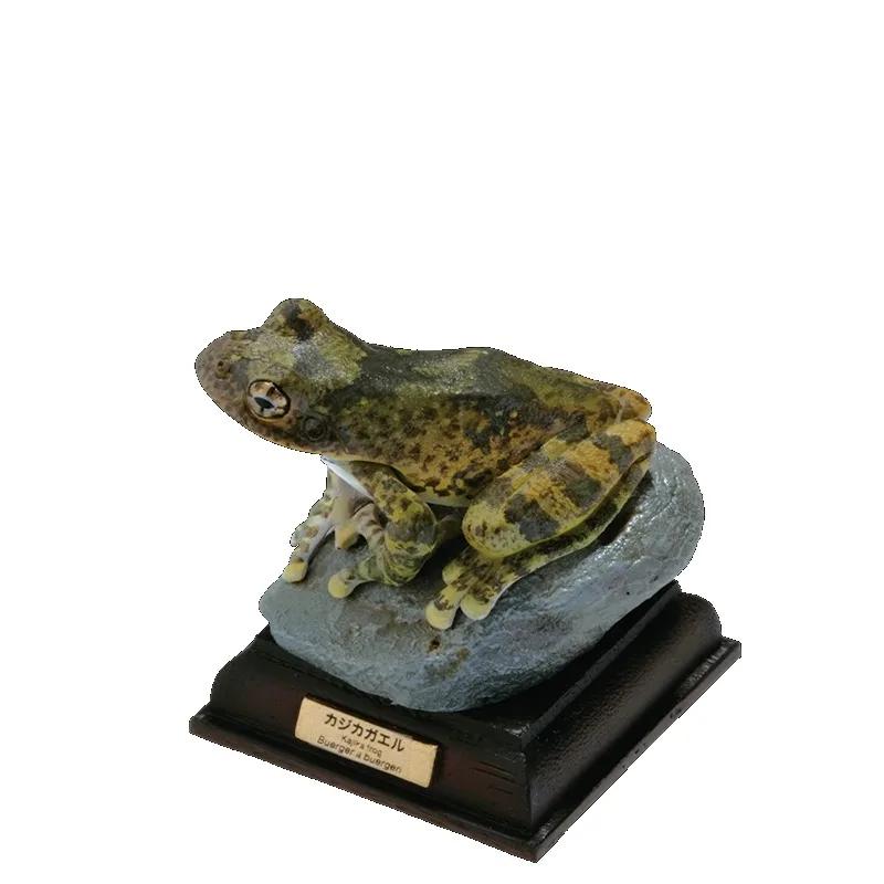 

NATURE TECHNI COLOUR Toad Series Gashapon Toys Simulation Model Ornaments Box FIGURE MODEL Playthings Beautiful Design 5cm to 8cm