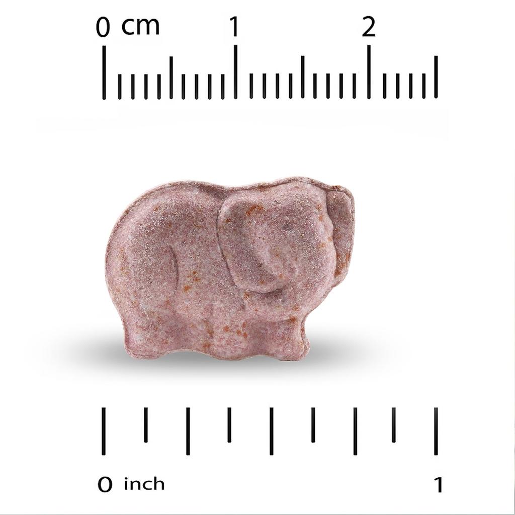 California Gold Nutrition, Kaubares Multivitaminpräparat für Kinder mit Probiotika und Enzymen, verschiedene Fruchtaromen, 120 vegane Tabletten