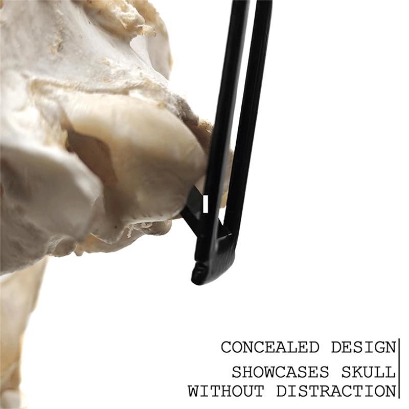 Deer Mount Hanger European Mount Skull Hangers Wall Mount Bracket Kit Black Skull Hooker With Easy Installation Kits For Indoor