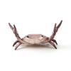 Funny Crab Desktop Pen Bracket Creative Weightlifting Crab Pen Bracket Desktop Ornaments Novelty Animal Design Single Pen Rack