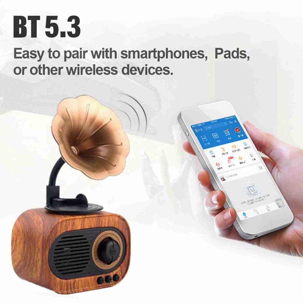 Vintage BT Speakers Bluetooth 5.3 Support for FM AUX TF Card Speaker for Home Outdoor