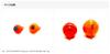 RISE JAPAN Namidama MEDAMA TG 80g #ND10 Chart Orange