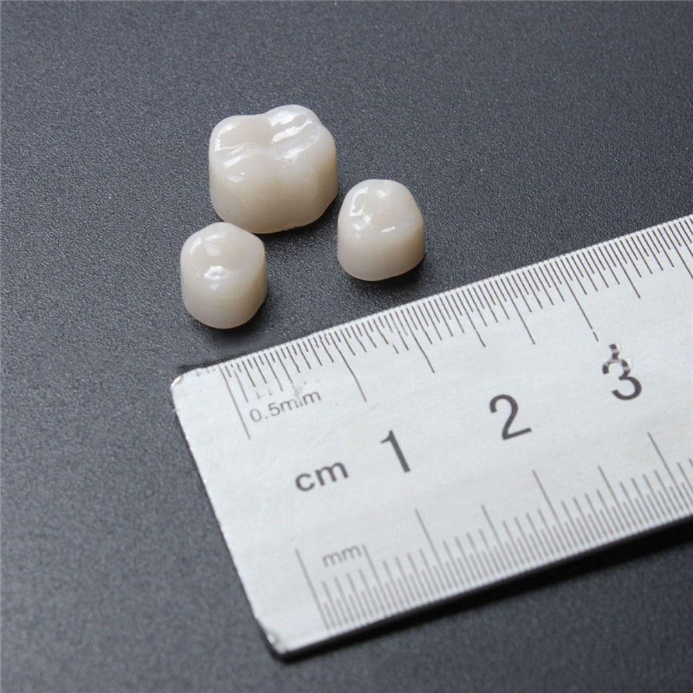 for Anterior & Molar Teeth Dental Temporary Crown Dental Material Resin Teeth Teeth Crown Veneers
