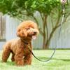 We Original All Leather Collar Black GOOD MANNERS DOG SERIES - (XL) /