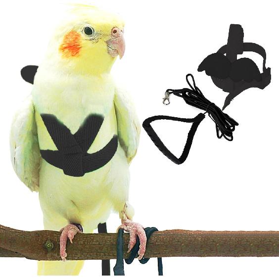 Dnoifne Smycz i Szelki dla Papugi Ptaka, Regulowany Design Treningowy Zapobiegający Gryzieniu, Ptasi Nylonowy Sznurek z Uroczy Skrzydłem dla Papug, Odpowiedni dla Szkarłatnej,