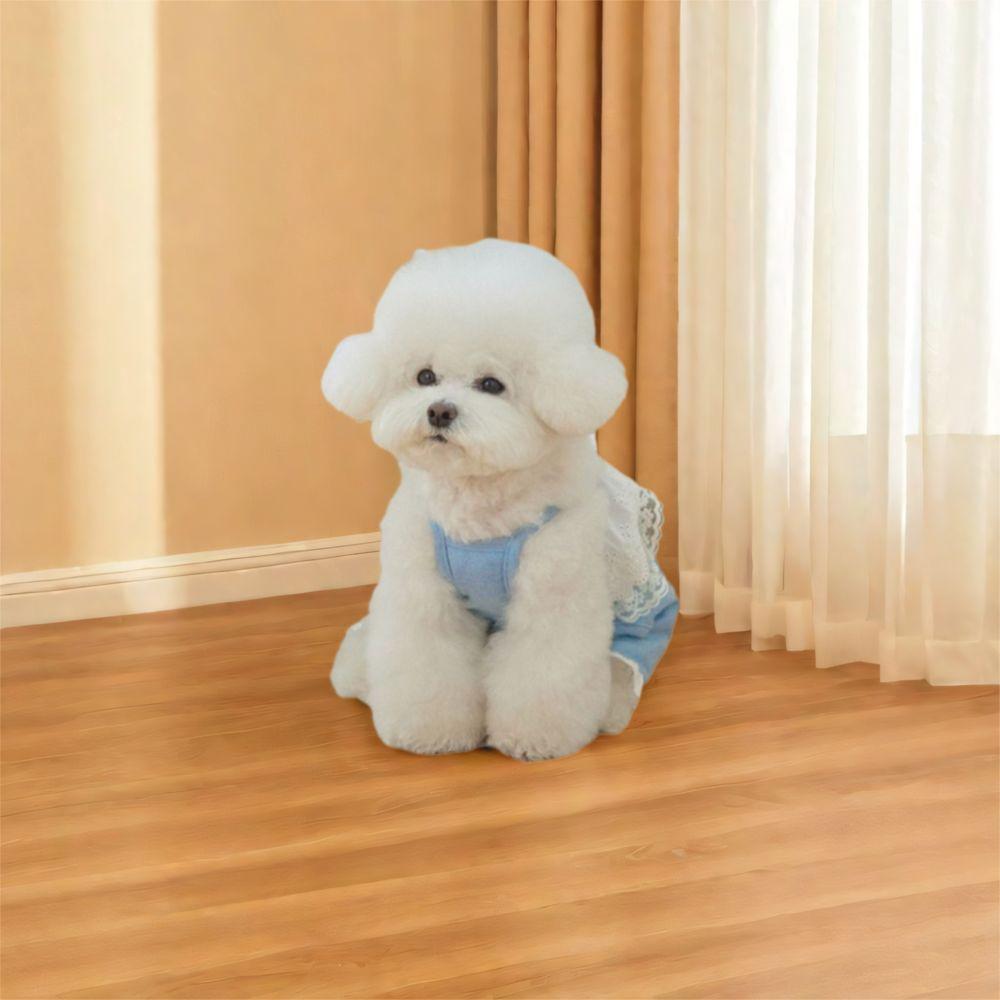 Soft Pet Lace Jumpsuit Fashion Dog Pajamas Comfortable Dog Clothes  Summer