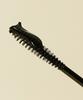 [SET] Black Tinting Vegan Eyelash Serum x 2