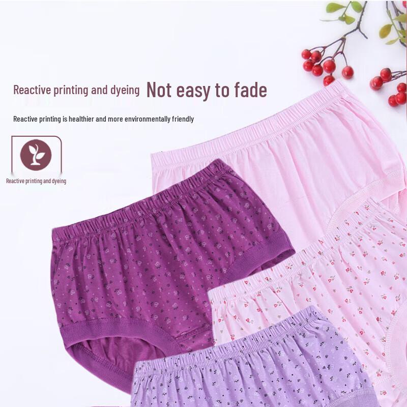 FitonTon Women's Plus Size High-Waist Cotton Briefs (5-Pack)