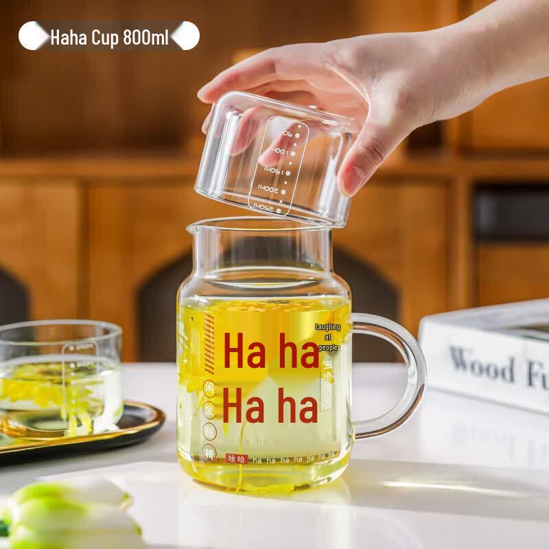 800ml High Borosilicate Glass Tea Infuser Bottle