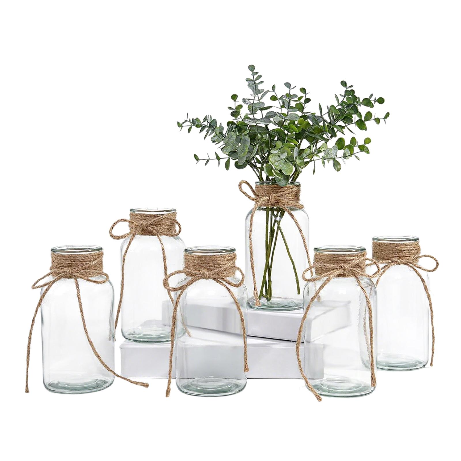 

Set of 6 Glass Small Vases with Rope Design Clear Vases Flower Vases for Floral Arrangements Housewarming Gifts чистий