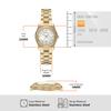 Emporio Armani AR11657 Gold Watch Women's