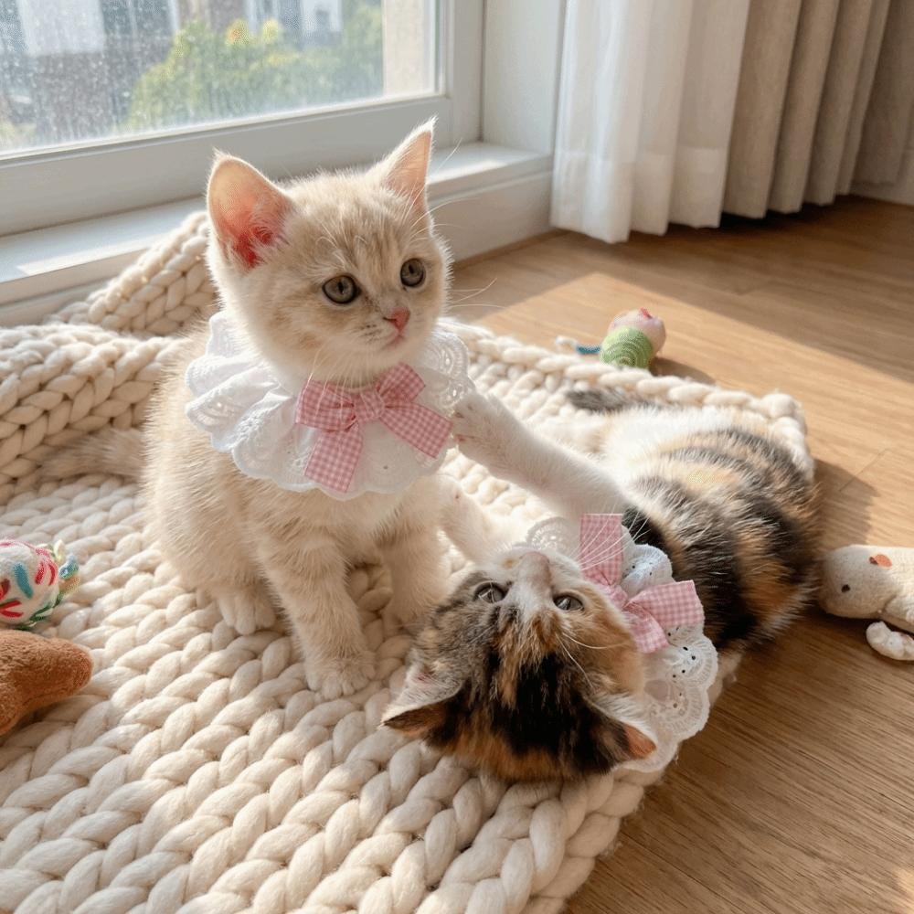 Cute Bowknot Cat Neckerchief Soft Adjustable Cat Scarf Decorative Pet Neck Strap Cat Dogs
