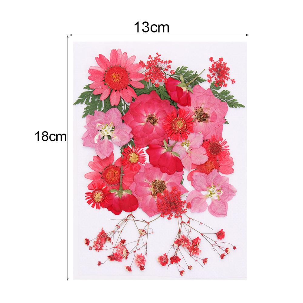 Dried Flowers UV Resin Decorative Natural Flower Stickers 3D Pressed Dried Flowers Beauty Decal Nail Art Epoxy Mold Filling