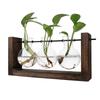 Hydroponic Vase Simple Decorative Glass Flower Vase Plant Terrarium with Wooden Stand