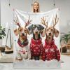 1 Christmas Dachshund Reindeer Horns Flannel Blanket - Cozy and Warm, Great for Sofa, Bed, Travel, Camping and Office Decoration