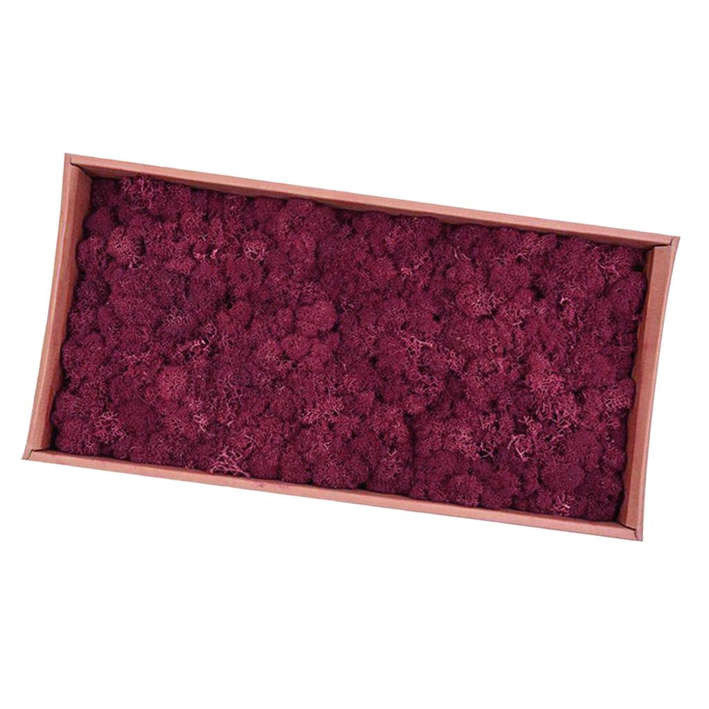 Moss Wreaths Decor Artificial Reindeer Moss Dried Flower Supply for Garden Fencing and Floral Tributes вино красного