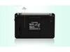 PANDA 6207 Dual-Band Portable Rechargeable Radio/MP3 Speaker for Seniors