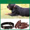 Classic Leather Dog Collar With Vintage Brass Buckle For Medium To Large Dogs