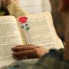 Rose Bookmark Exquisite Metal Book Page Holder Teacher Appreciation Gift for Reading Lovers Valentine's Day