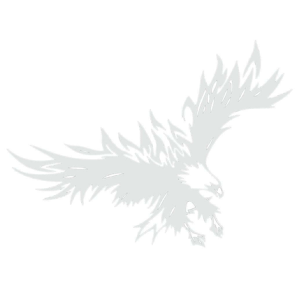 Eagles Car Decal DIY Styling Decorative Eagle Graphic Car Sticker Universal Auto Body Hood Decal