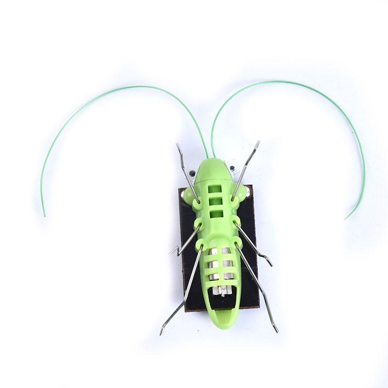 Green 1pcs